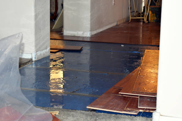 Professional Burst Pipe Cleanup technician working in Hampstead, NC